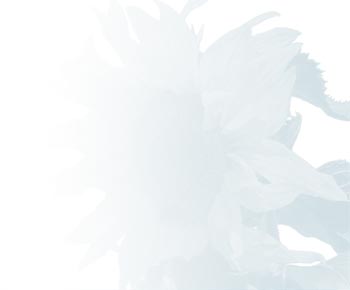 Platzhaltergrafik